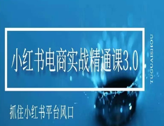 小红书电商实战精通课3.0，抓住小红书平台的风口，不错过有一个赚钱的机会-旺铺专家
