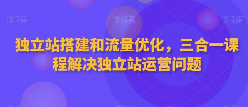 独立站搭建和流量优化，三合一课程解决独立站运营问题-旺铺专家