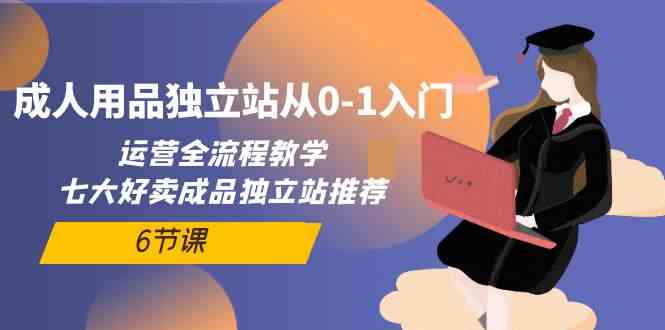成人用品独立站从0-1入门，运营全流程教学，七大好卖成品独立站推荐（6节课）-旺铺专家