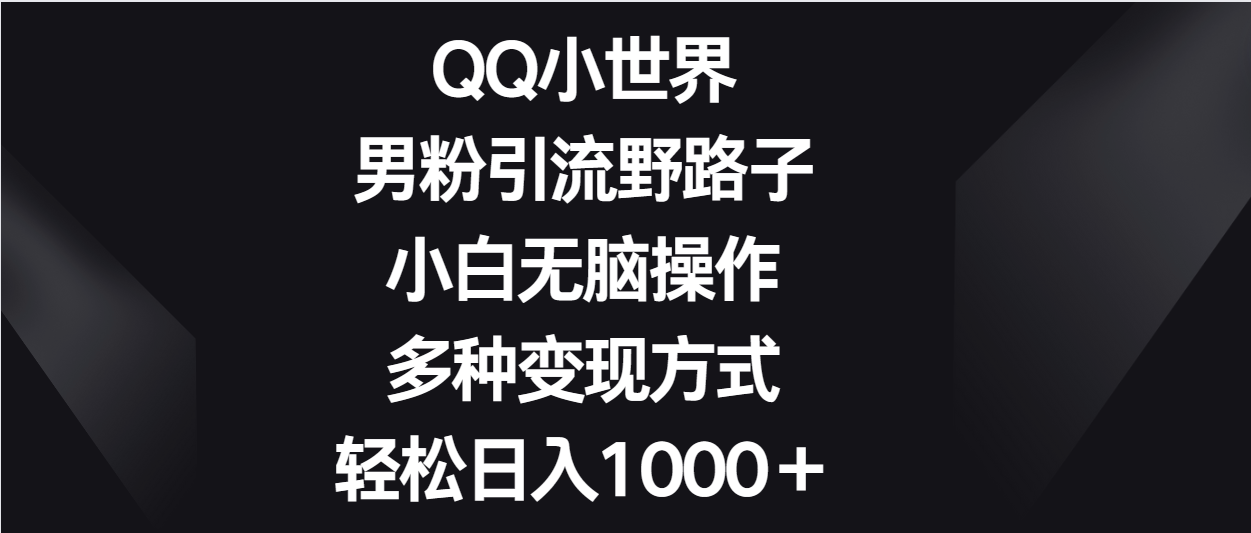 QQ小世界男粉引流野路子，小白无脑操作，多种变现方式轻松日入1000＋-旺铺专家
