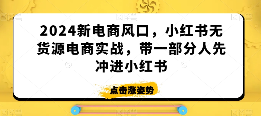2024新电商风口，小红书无货源电商实战，带一部分人先冲进小红书-旺铺专家