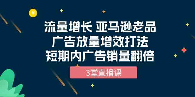流量增长 亚马逊老品广告放量增效打法，短期内广告销量翻倍（3堂直播课）-旺铺专家