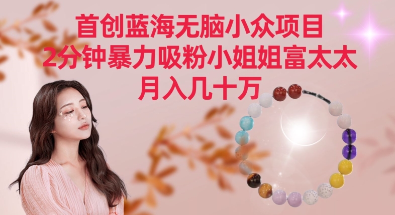 首创蓝海无脑小众项目，2分钟暴力吸粉小姐姐富太太，月入几十万-旺铺专家