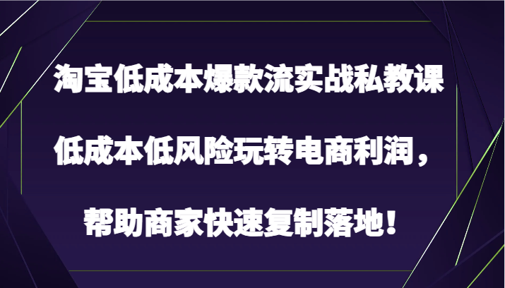 淘宝低成本爆款流实战私教课，低成本低风险玩转电商利润，帮助商家快速复制落地！-旺铺专家
