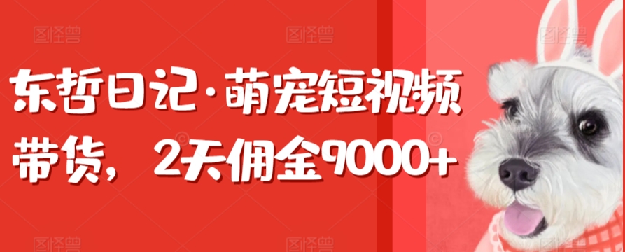东哲日记·萌宠短视频带货，2天佣金9000+-旺铺专家
