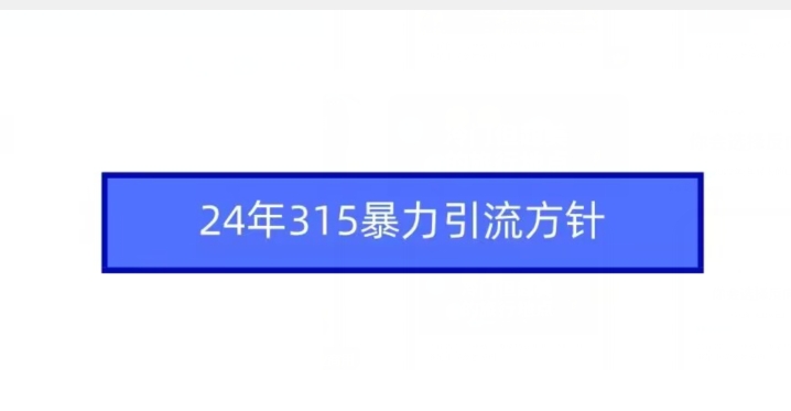 24年315暴力引流方针-旺铺专家