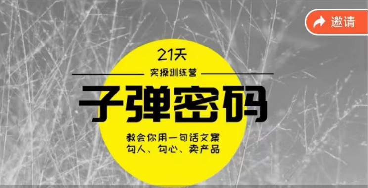 《子弹密码训练营》用一句话文案勾人勾心卖产品，21天学到顶尖文案大师策略和技巧-旺铺专家
