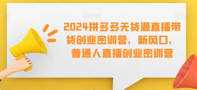 2024拼多多无货源直播带货创业密训营，新风口，普通人直播创业密训营-旺铺专家