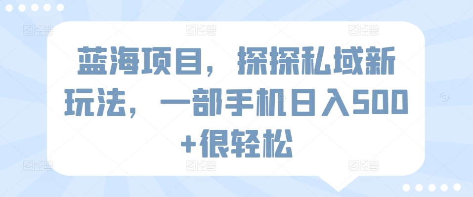 蓝海项目，探探私域新玩法，一部手机日入500+很轻松-旺铺专家