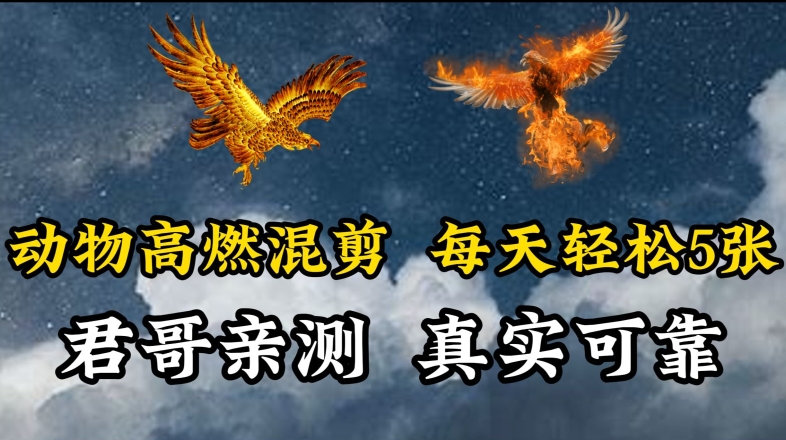 动物超燃混剪，每天轻松5张，剪辑简单大家爱看-旺铺专家