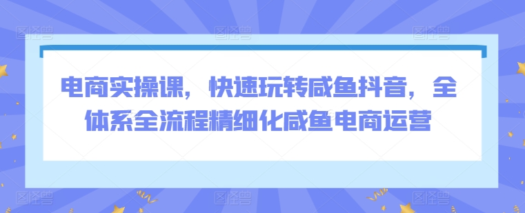 电商实操课，快速玩转咸鱼抖音，全体系全流程精细化咸鱼电商运营-旺铺专家