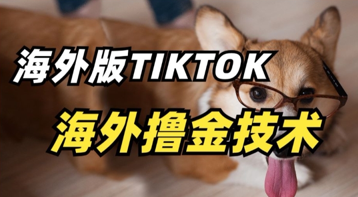 抖音海外版tiktok撸金技术，这个风口行业，赚钱真的不难-旺铺专家