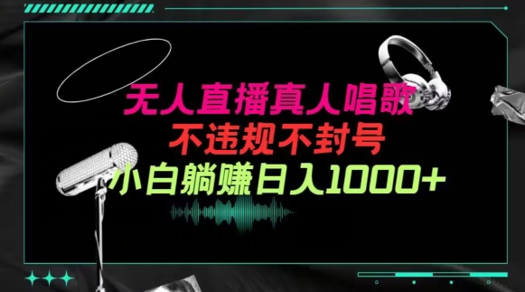 抖音24小时无人直播音乐，不违规，不封号纯撸音浪，小白实操当天日入1000+-旺铺专家