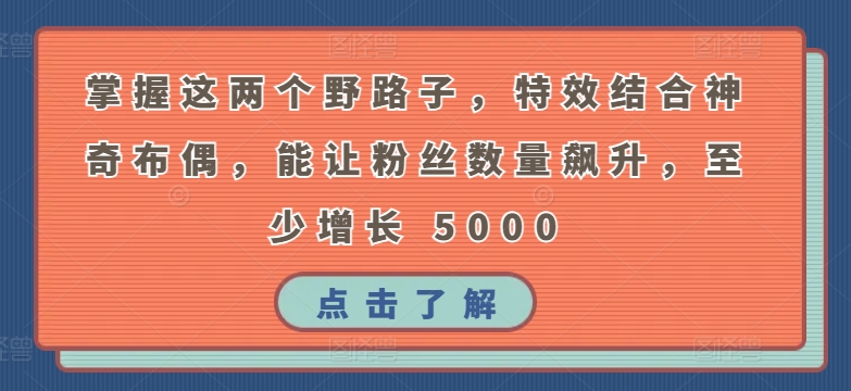 掌握这两个野路子，特效结合神奇布偶，能让粉丝数量飙升，至少增长 5000-旺铺专家