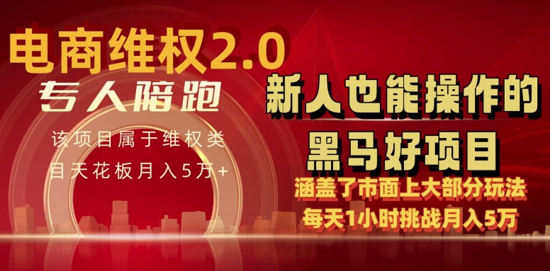 电商维权 4.0 如何做到月入 5 万+每天 1 小时新人也能快速上手【仅揭秘】-旺铺专家