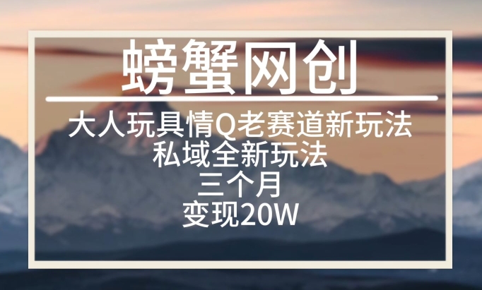 大人玩具情Q用品赛道私域全新玩法，三个月变现20W，老项目新思路-旺铺专家