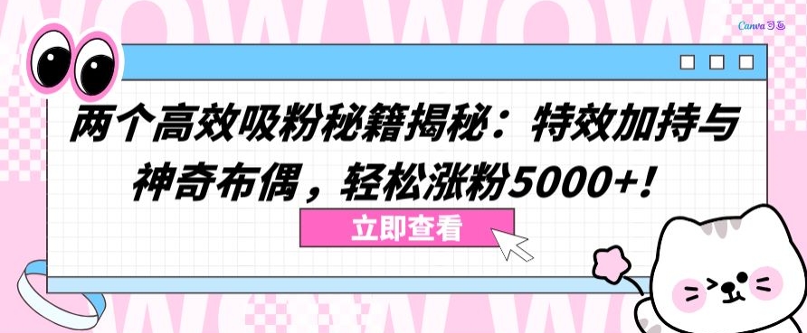 两个高效吸粉秘籍揭秘：特效加持与神奇布偶，轻松涨粉5000+-旺铺专家