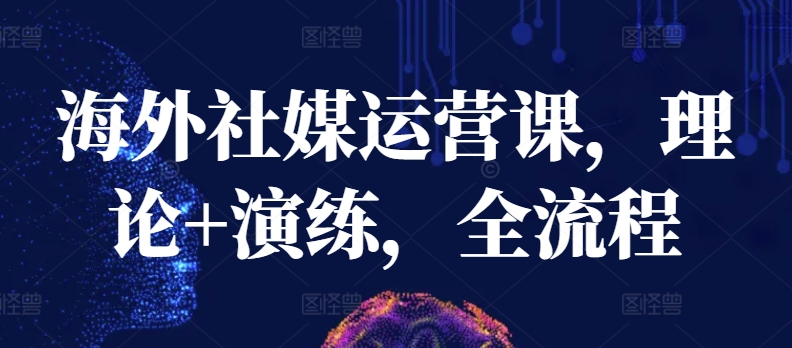 海外社媒运营课，理论+演练，全流程-旺铺专家