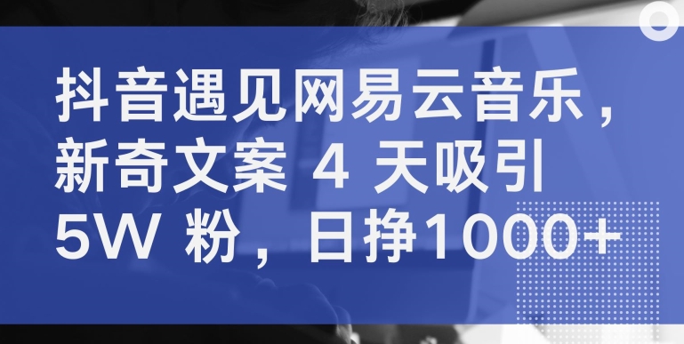抖音遇见网易云音乐，新奇文案 4 天吸引 5W 粉，日挣1000+-旺铺专家