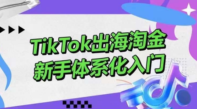 TikTok出海淘金，新手体系化入门，零基础快速入门，掌握短视频、直播带货等引流到变现的知识-旺铺专家
