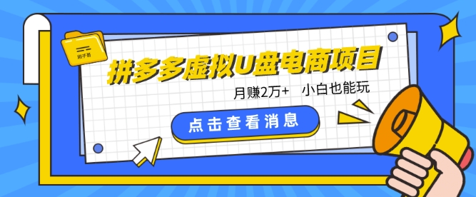 拼多多虚拟U盘电商红利项目：月赚2万+，新手小白也能玩-旺铺专家