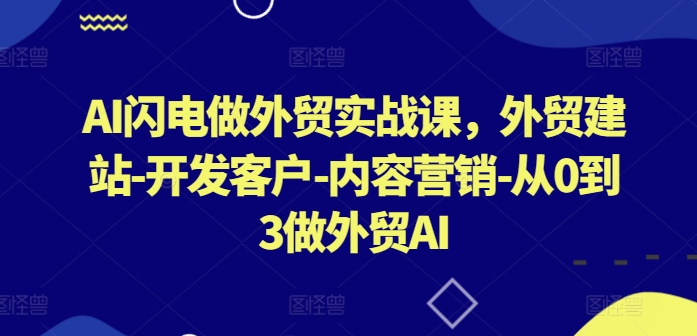 AI闪电做外贸实战课，​外贸建站-开发客户-内容营销-从0到3做外贸AI-旺铺专家