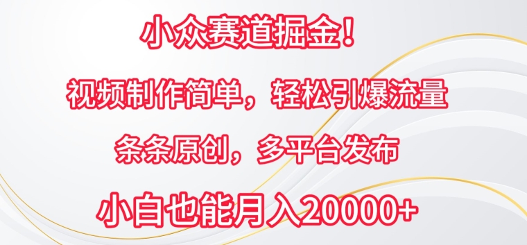 小众赛道掘金，视频制作简单，轻松引爆流量，条条原创，多平台发布-旺铺专家