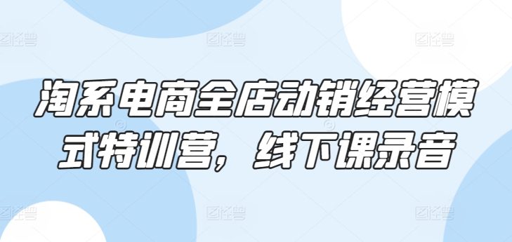 淘系电商全店动销经营模式特训营，线下课录音-旺铺专家