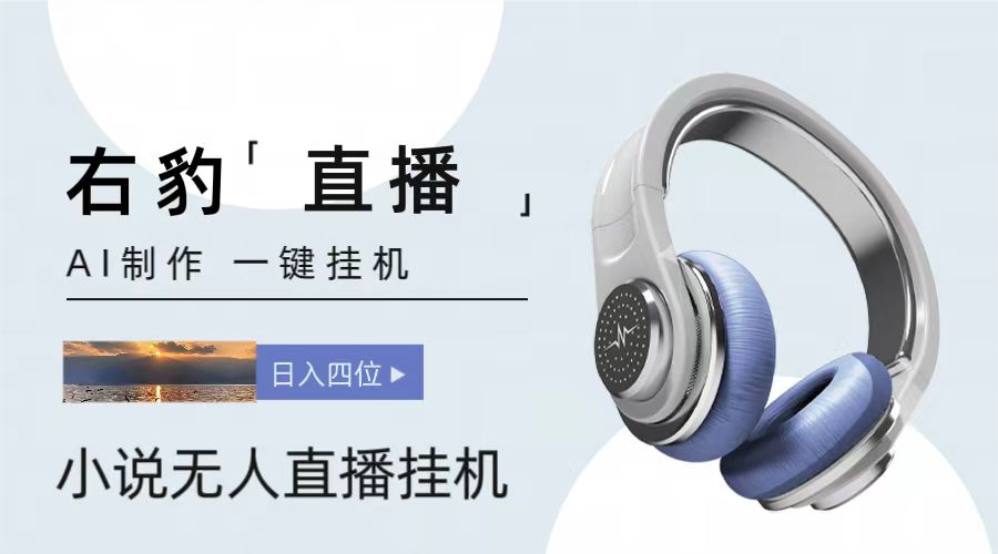 右豹小说无人直播挂机吸金项目，简单易行收益稳定， 月入1000+-旺铺专家