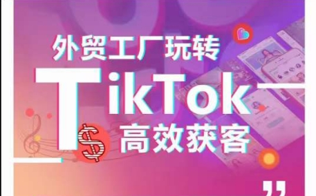 外贸工厂玩转TikTok高效获客，多种引流方式与账号定位技巧，拆解爆款短视频打造成功案例-旺铺专家