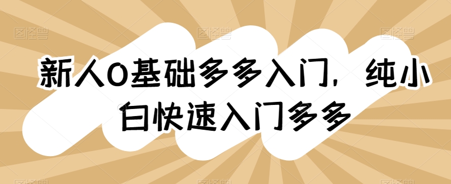 新人0基础多多入门，​纯小白快速入门多多-旺铺专家