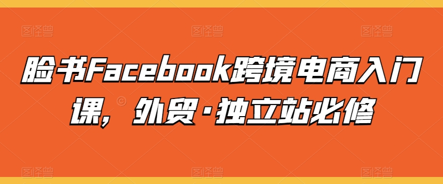 脸书Facebook跨境电商入门课，外贸·独立站必修-旺铺专家