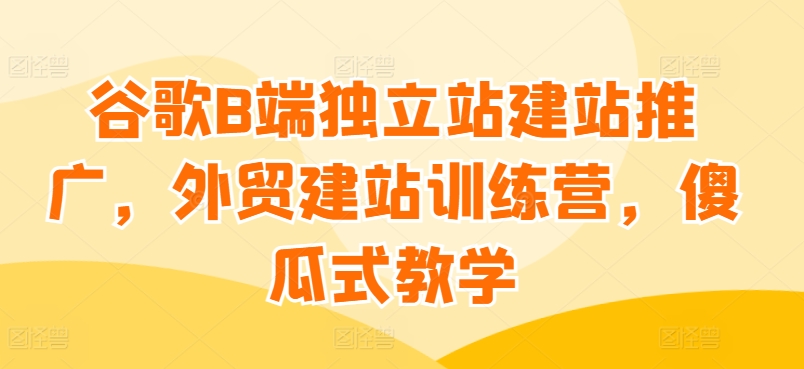 谷歌B端独立站建站推广，外贸建站训练营，傻瓜式教学-旺铺专家