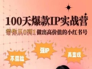 小红书100天爆款IP实战营，带你从0到1做出高价值的小红书号-旺铺专家