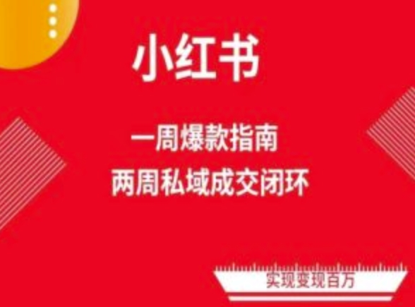 爆款小红书免费流量体系课程(两周变现)，小红书电商教程-旺铺专家
