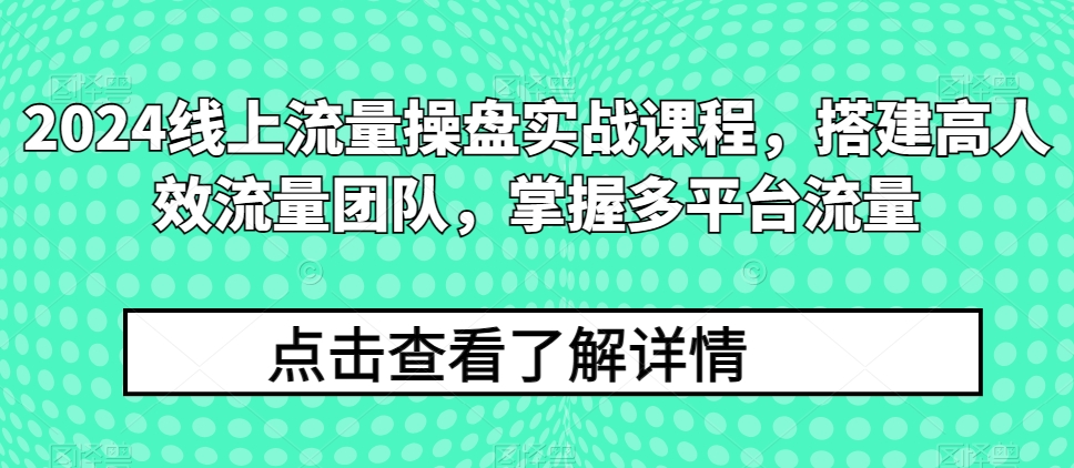 2024线上流量操盘实战课程，搭建高人效流量团队，掌握多平台流量-旺铺专家