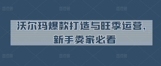 沃尔玛爆款打造与旺季运营，新手卖家必看-旺铺专家
