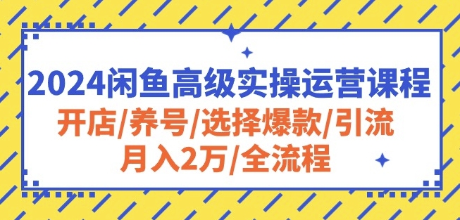2024闲鱼高级实操运营课程：开店/养号/选择爆款/引流/月入2万/全流程-旺铺专家