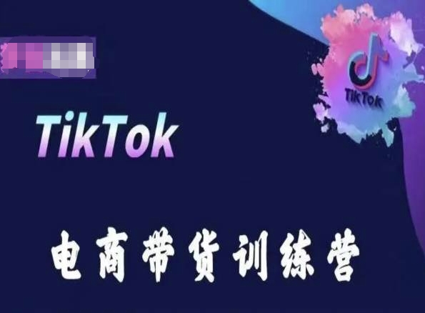 TikTok电商带货训练营，跟随时代潮流，跨境掘金-旺铺专家