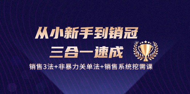 从小新手到销冠三合一速成：销售3法+非暴力关单法+销售系统挖需课 (27节)-旺铺专家