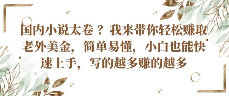 国内小说太卷 ?带你轻松赚取老外美金，简单易懂，小白也能快速上手，写的越多赚的越多-旺铺专家