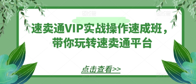 速卖通VIP实战操作速成班，带你玩转速卖通平台-旺铺专家