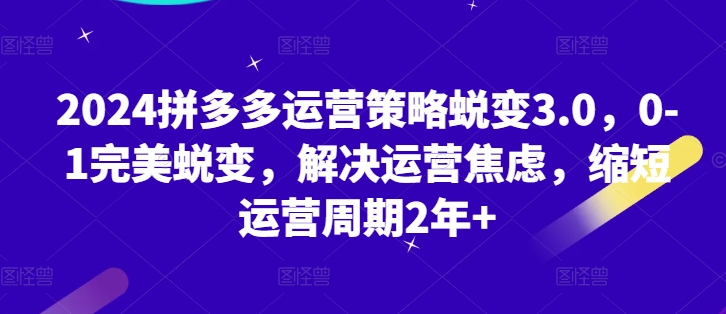 2024拼多多运营策略蜕变3.0，0-1完美蜕变，解决运营焦虑，缩短运营周期2年+-旺铺专家