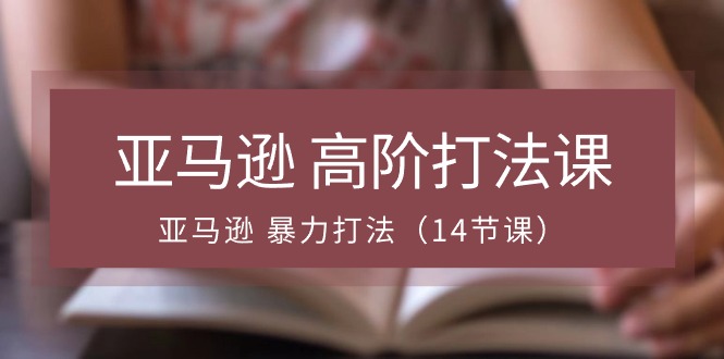 亚马逊高阶打法课，亚马逊暴力打法（14节视频课）-旺铺专家