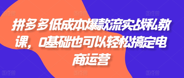 拼多多低成本爆款流实战私教课，0基础也可以轻松搞定电商运营-旺铺专家