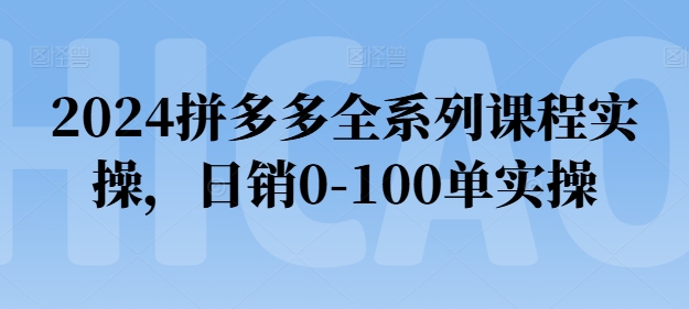 2024拼多多全系列课程实操，日销0-100单实操【必看】-旺铺专家