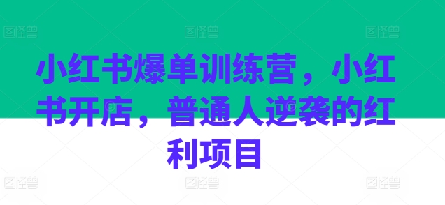 小红书爆单训练营，小红书开店，普通人逆袭的红利项目-旺铺专家