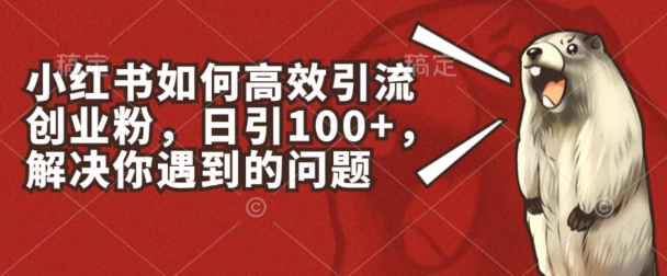 小红书如何高效引流创业粉，日引100+，解决你遇到的问题-旺铺专家