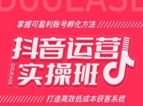 抖音运营实操班，掌握可盈利账号孵化方法，打造高效低成本获客系统-旺铺专家