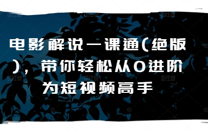 电影解说一课通(绝版)，带你轻松从0进阶为短视频高手-旺铺专家